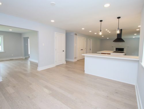 full view with living room